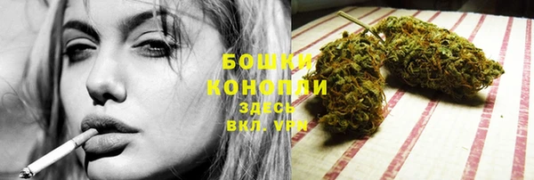эйфоретик Гусь-Хрустальный