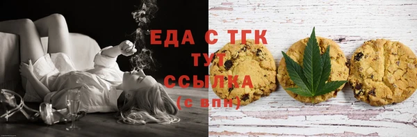 эйфоретик Гусь-Хрустальный