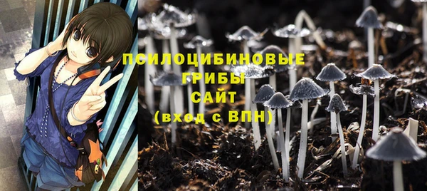 эйфоретик Гусь-Хрустальный