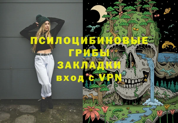 эйфоретик Гусь-Хрустальный