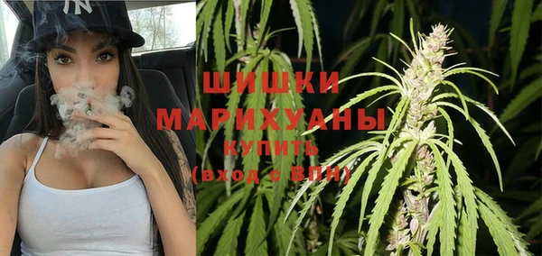 эйфоретик Гусь-Хрустальный