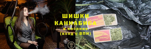 эйфоретик Гусь-Хрустальный