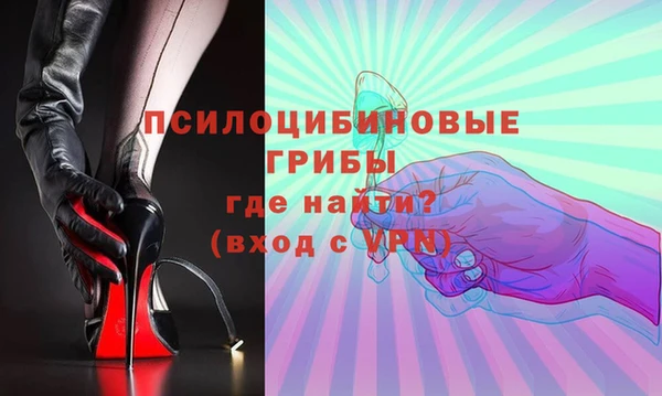 эйфоретик Гусь-Хрустальный