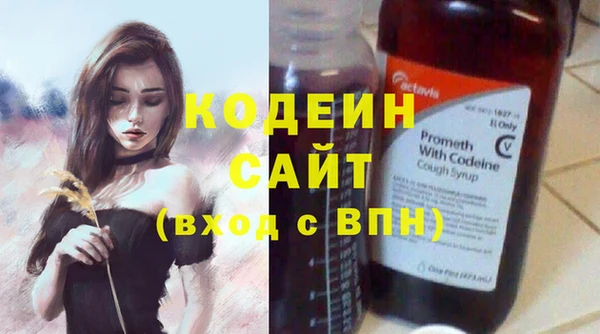 эйфоретик Гусь-Хрустальный