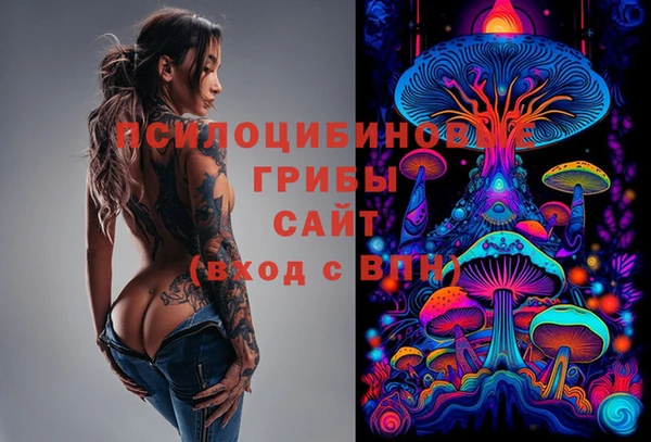 эйфоретик Гусь-Хрустальный