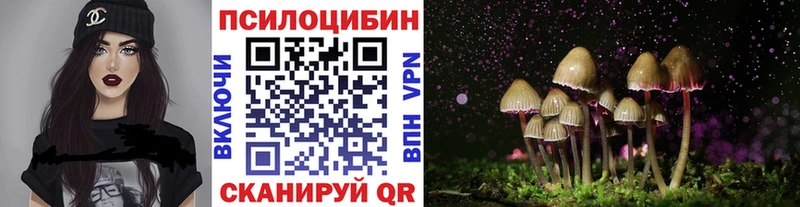 Купить  Куровское  Галлюциногенные грибы ЛСД 