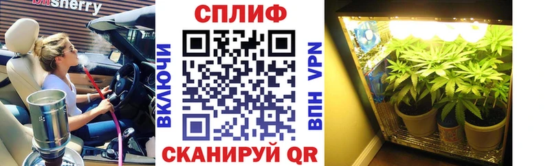 Купить закладки  Куровское  Бошки марихуана Bruce Banner 